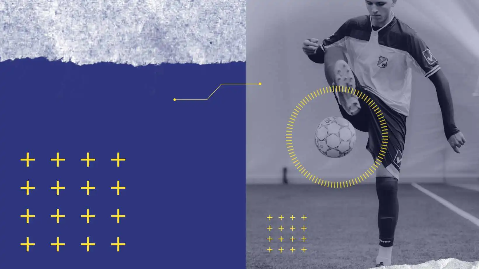 Acompanhe todos os campeonatos grátis