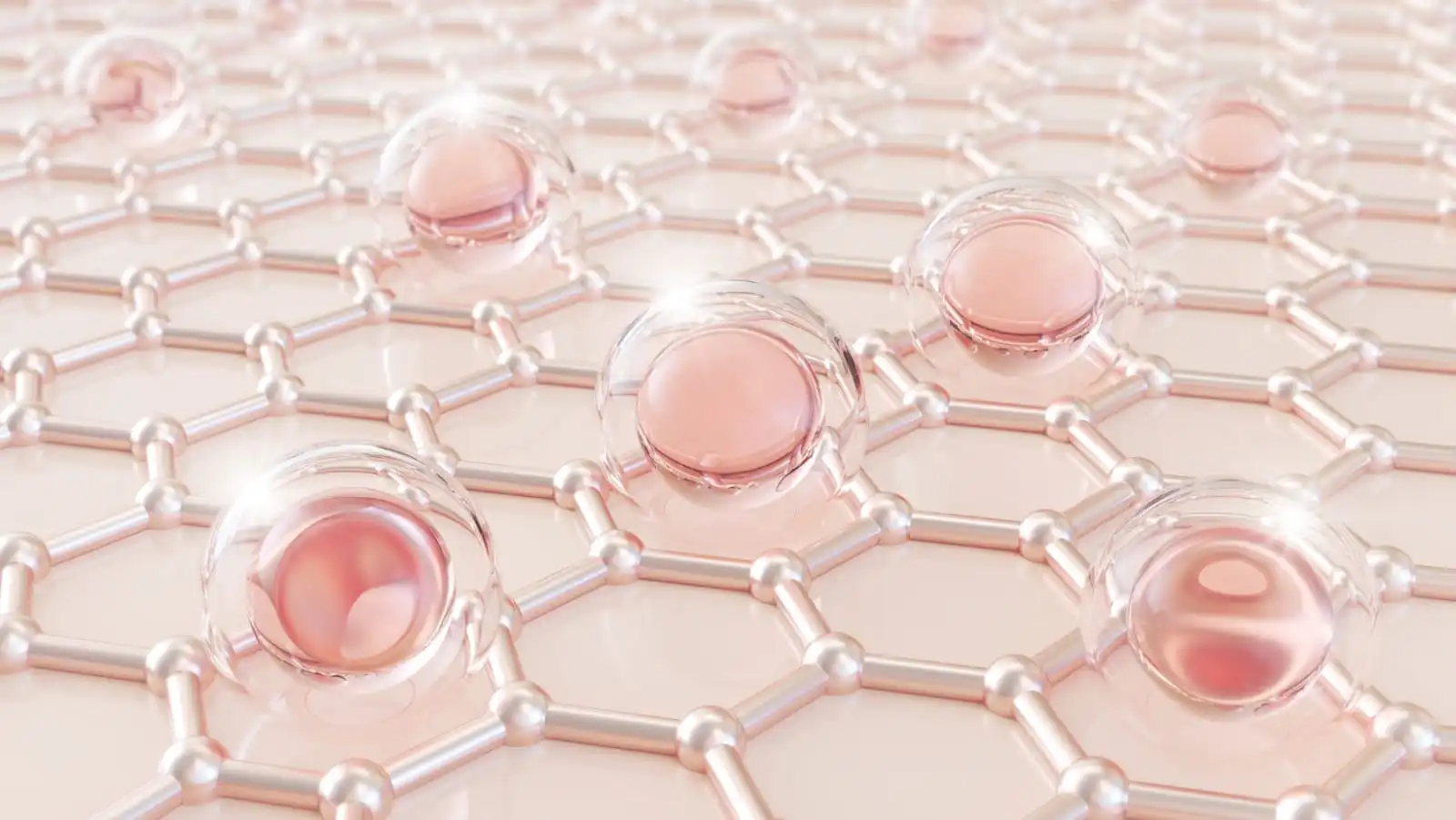 Inteligência Artificial – APP para Pele Linda