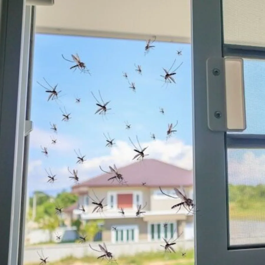 Pernilongos nunca mais. Aplicativos de Repelência Sonora – Baixe