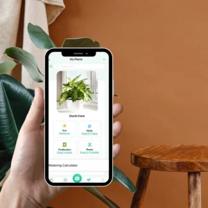 Descubra sobre plantas usando seu celular