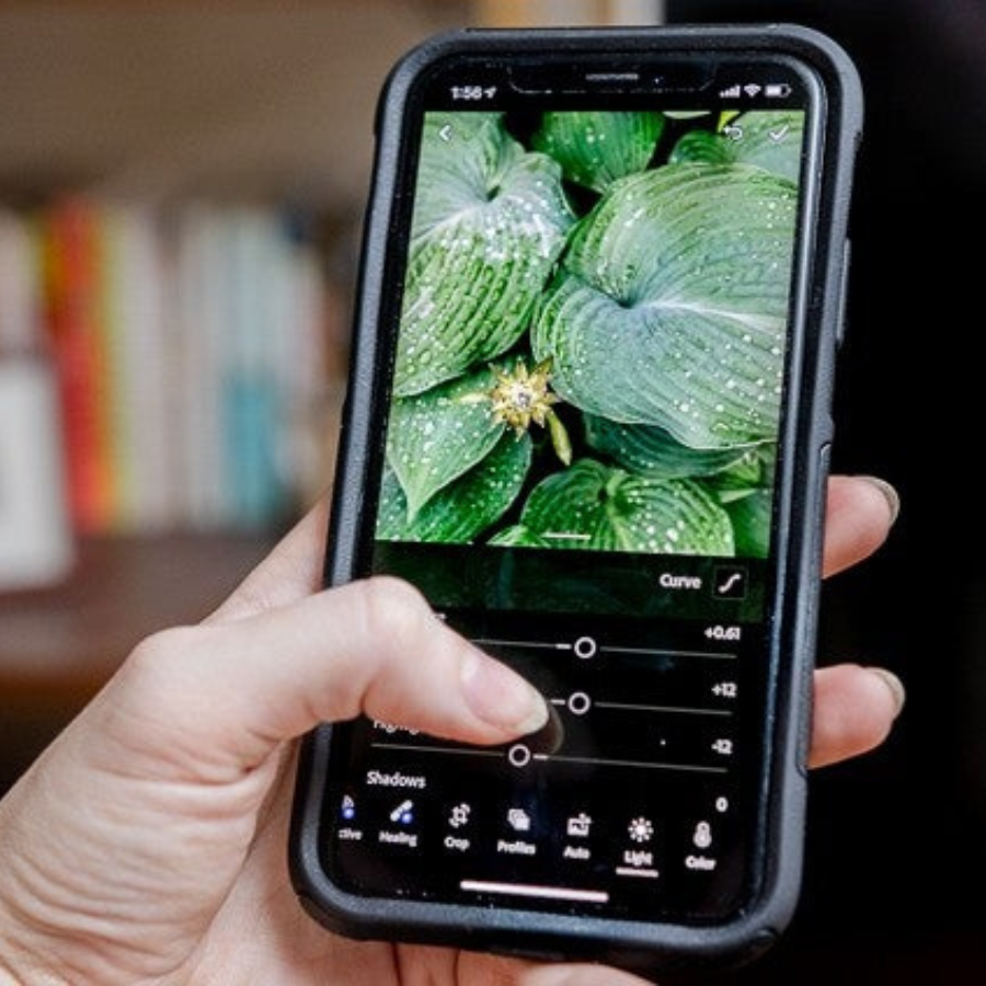 Edite suas fotos com aplicativos profissionais grátis