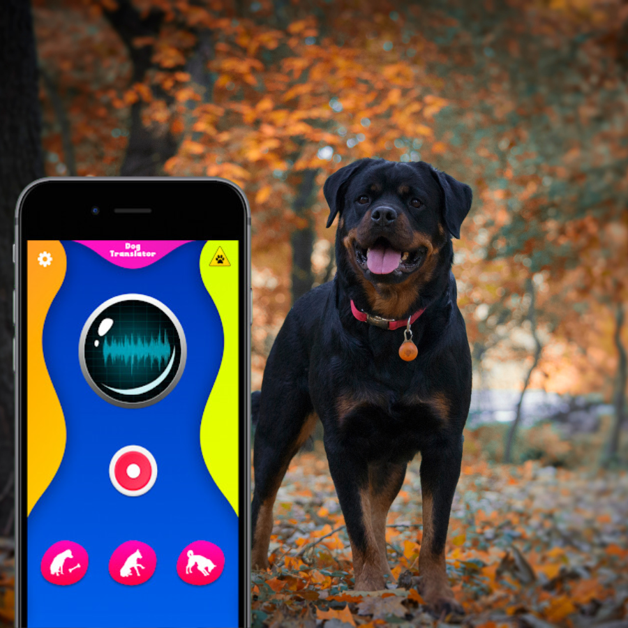 Aplicativo para traduzir latidos de cachorro gratuito